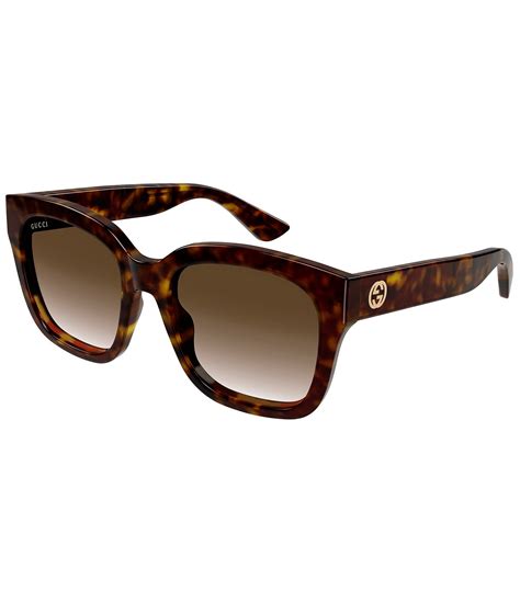 gucci havana sunglasses cat eye